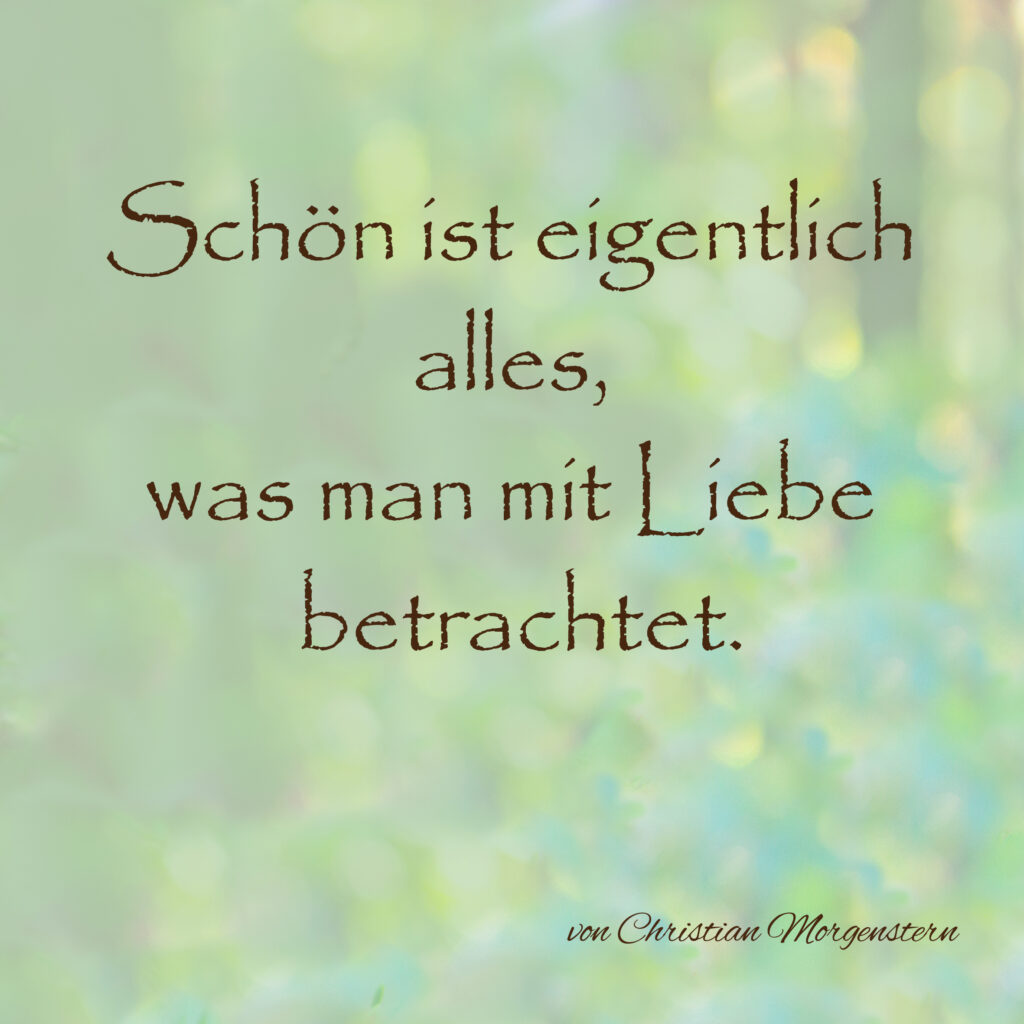 Text6